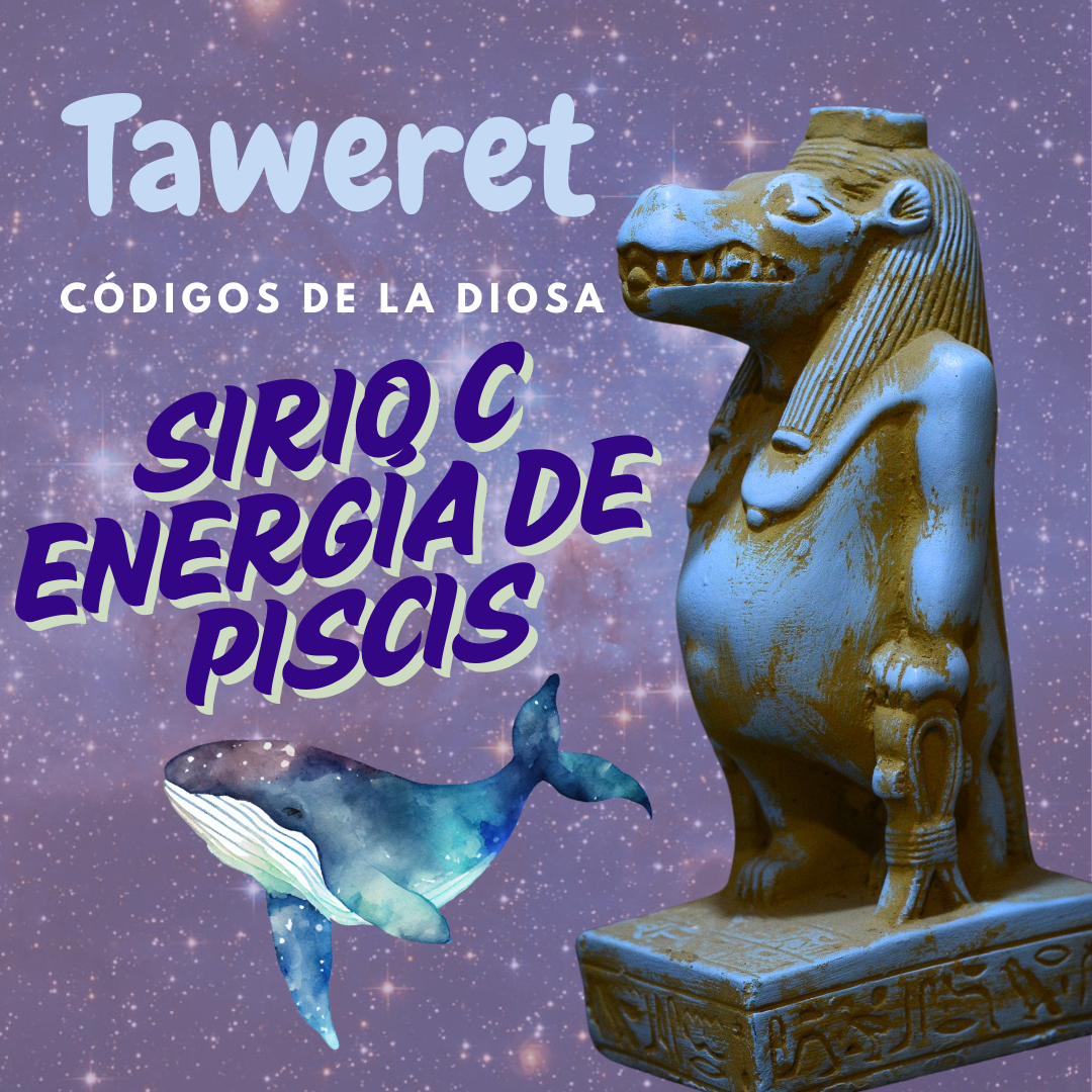 ✨ Códigos de la Diosa TAWERET - Sirio C - Consciencia Cetácea de Piscis ♓️✨🐋 (3 sesiones)